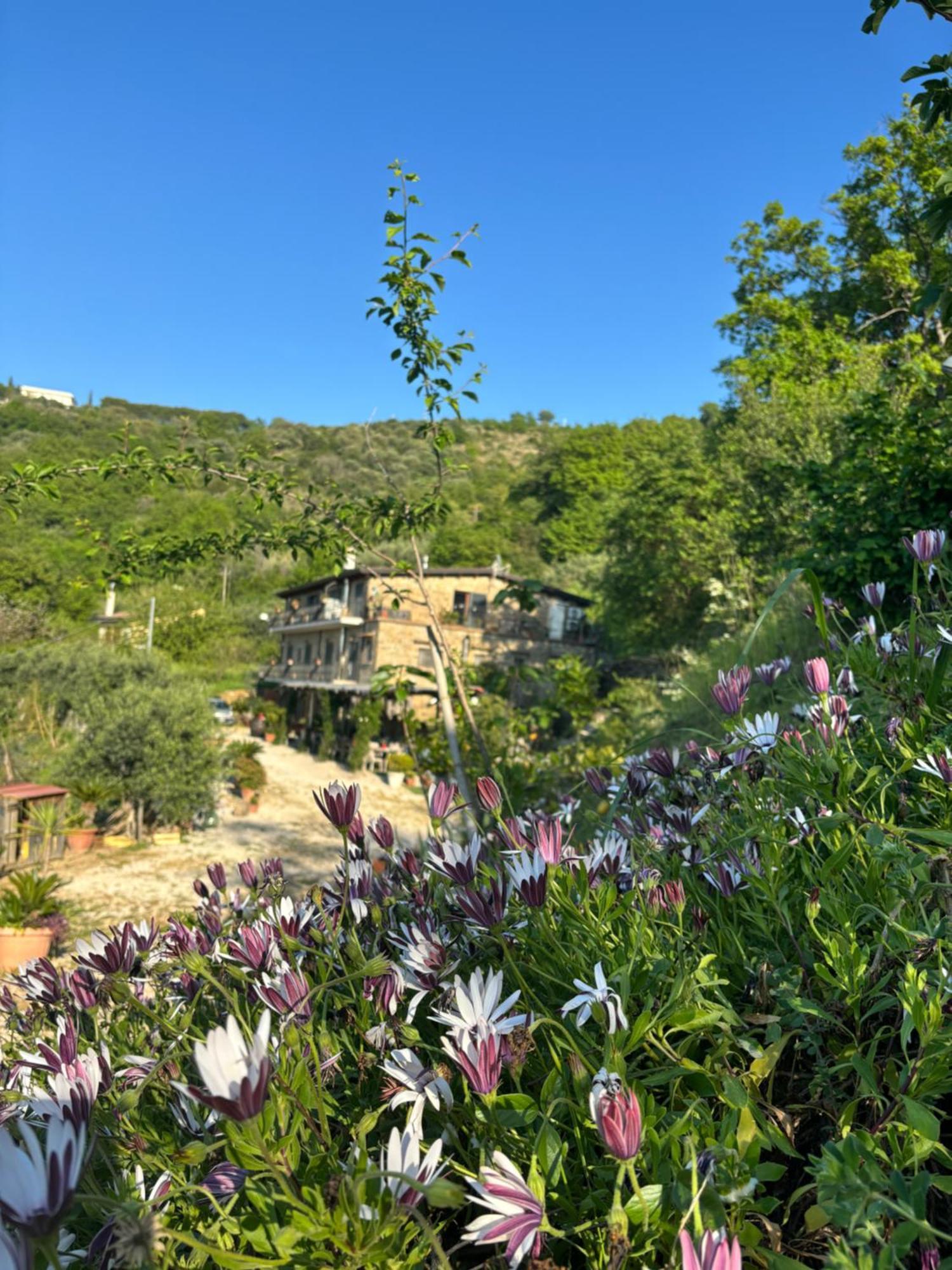 Dimora Dei Cardinali Guest House Agropoli Exterior photo